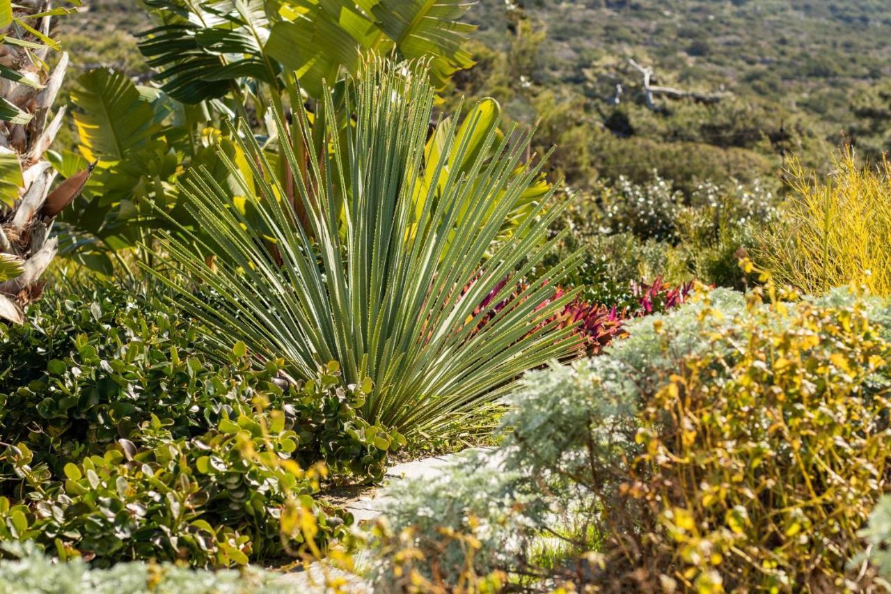 Istia Luxury Villas Karpathos Town  Exterior photo